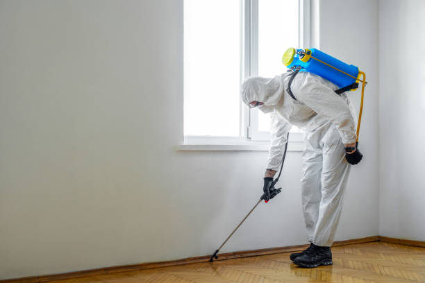 Reliable Florence, KY Pest Control Solutions