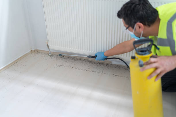 Best Termite Control Services  in Florence, KY