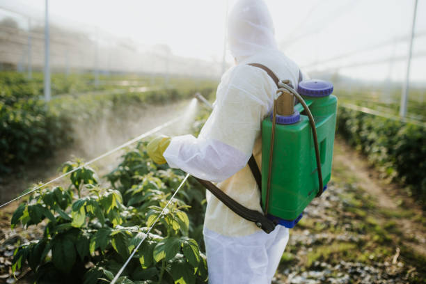 Best Affordable Pest Control Services  in Florence, KY